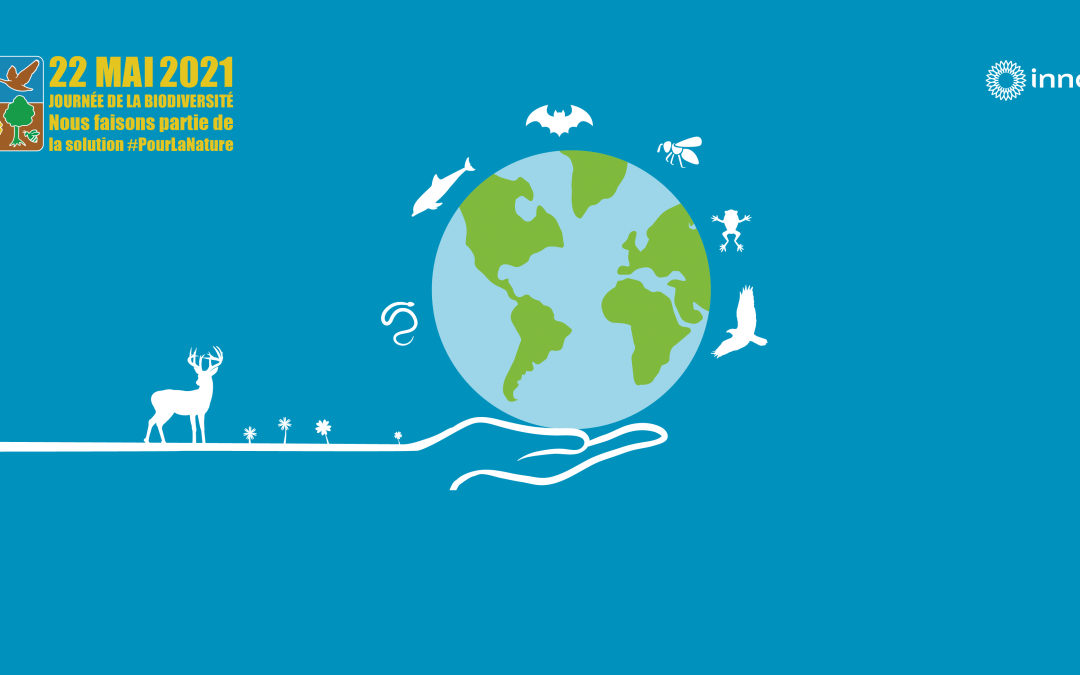 Journée internationale de la biodiversité : quel est l’impact des énergies renouvelables ?