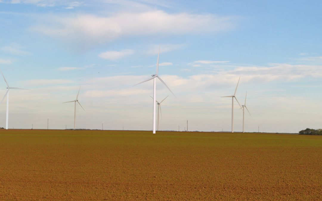 Projet d’extension du parc éolien de Leury